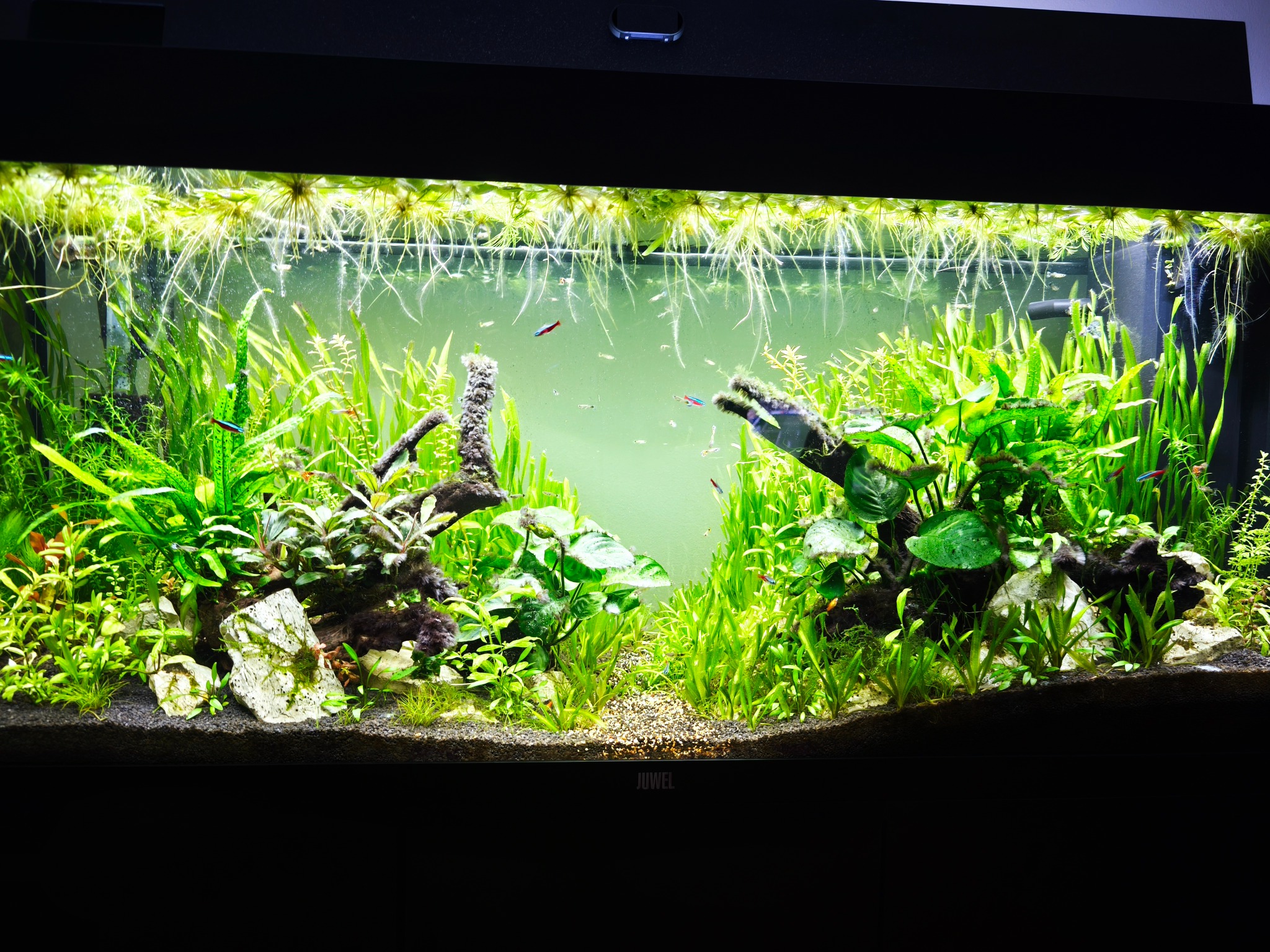 Acquario VascaLab